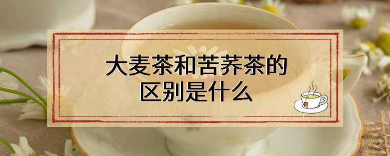 大麦茶和苦荞茶的区别是什么