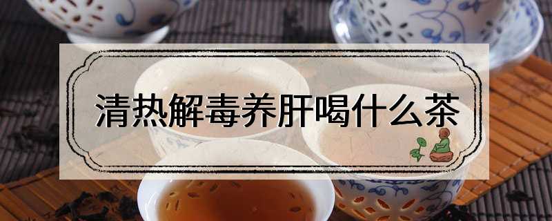 清热解毒养肝喝什么茶