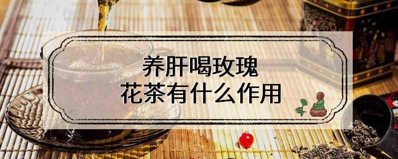 养肝喝玫瑰花茶有什么作用