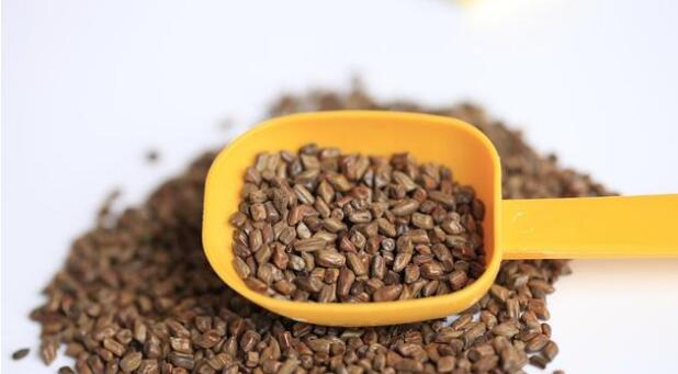 抽烟喝酒喝什么茶养肝(2)