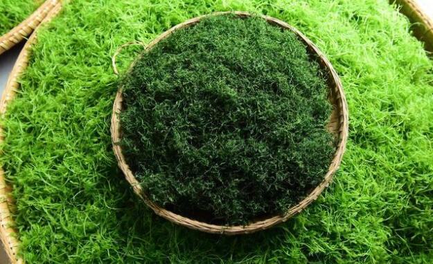 抽烟喝酒喝什么茶养肝(3)