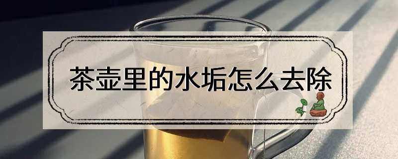 茶壶里的水垢怎么去除