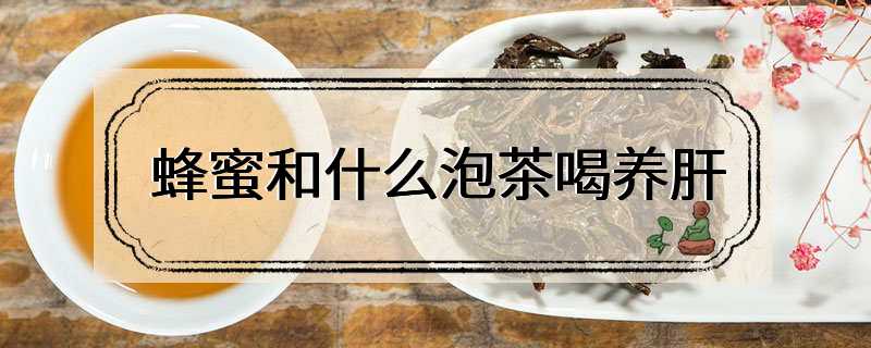 蜂蜜和什么泡茶喝养肝