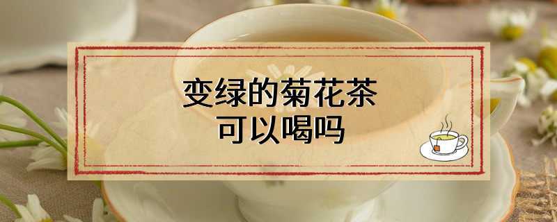 变绿的菊花茶可以喝吗