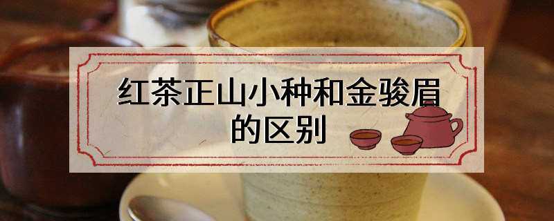 红茶正山小种和金骏眉的区别