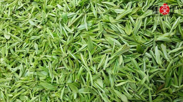 霍山黄芽属于什么茶