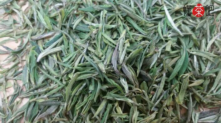 霍山黄芽属于什么茶(1)