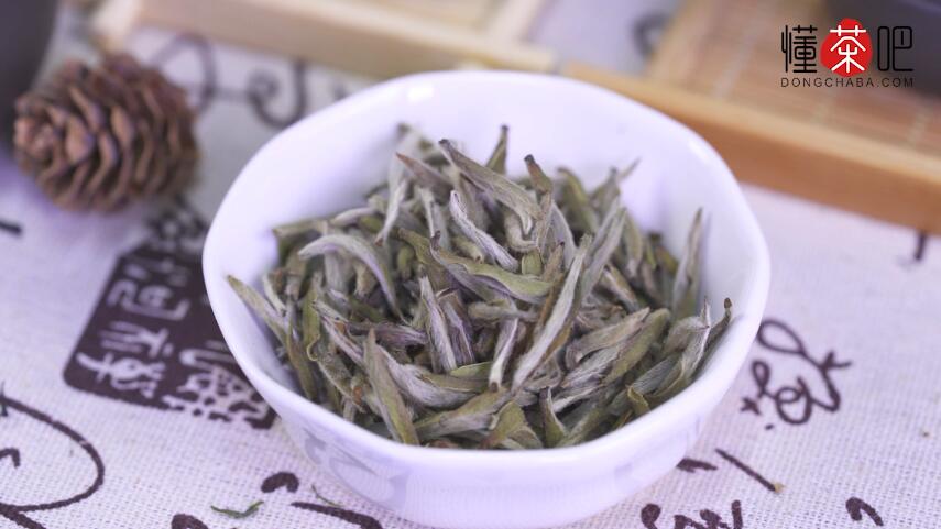 什么样的茶可以煮