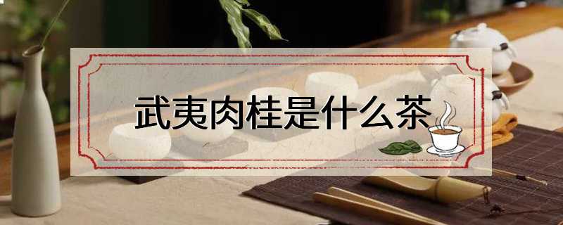 武夷肉桂是什么茶