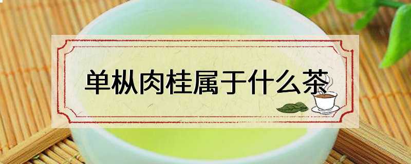 单枞肉桂属于什么茶