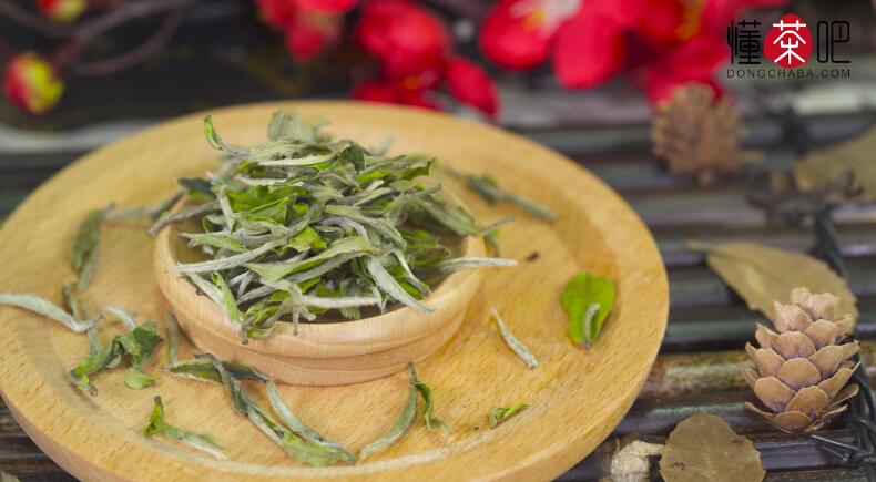 茶叶入门基本知识(3)