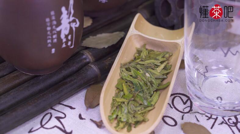 茶叶入门基本知识