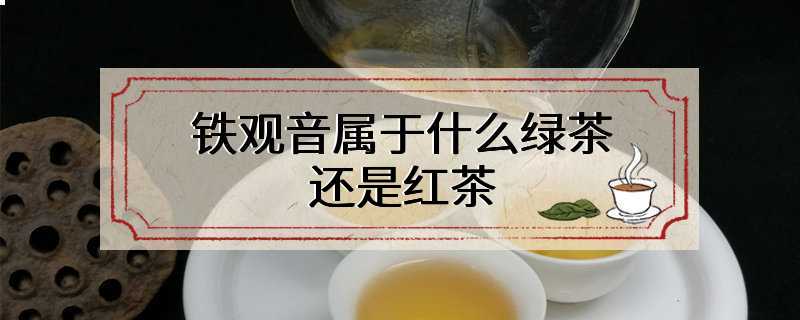 铁观音属于什么绿茶还是红茶