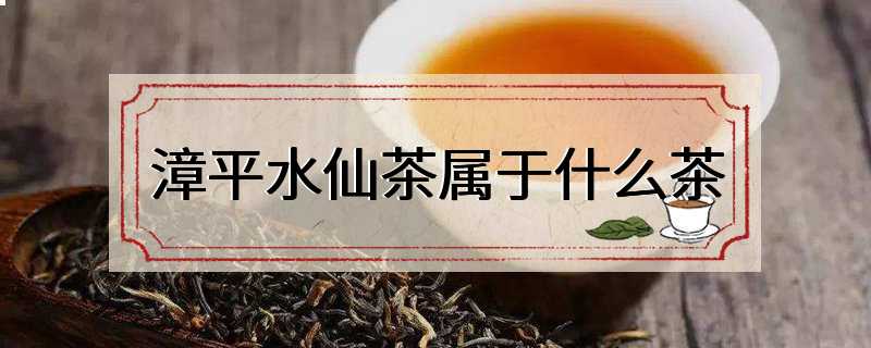 漳平水仙茶属于什么茶