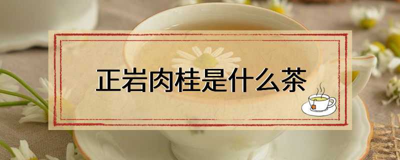 正岩肉桂是什么茶
