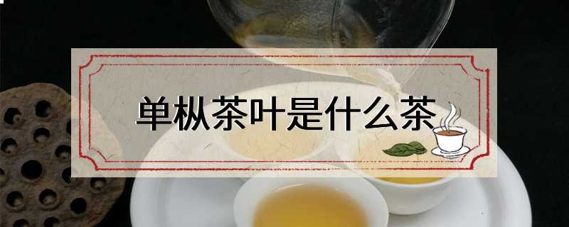 单枞茶叶是什么茶