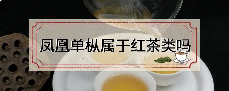 凤凰单枞属于红茶类吗