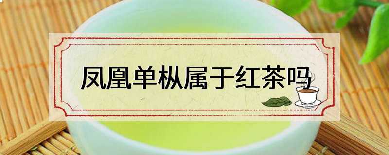 凤凰单枞属于红茶吗