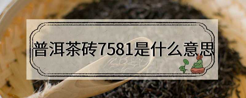 普洱茶砖7581是什么意思