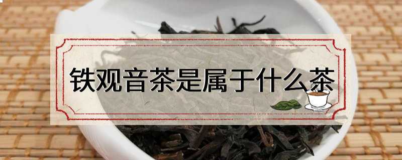 铁观音茶是属于什么茶