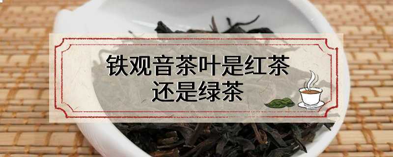 铁观音茶叶是红茶还是绿茶