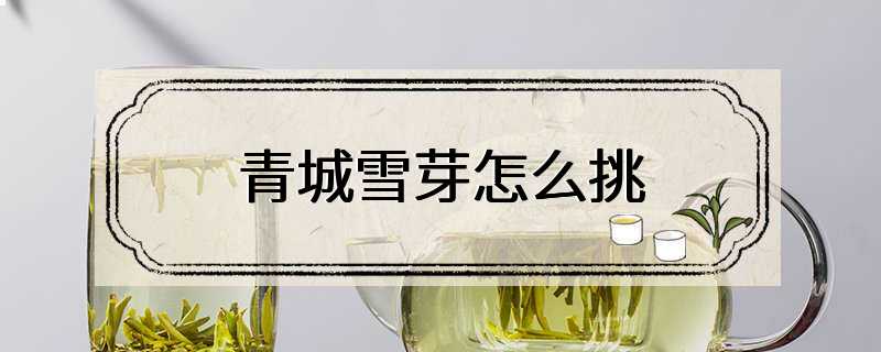 青城雪芽怎么挑