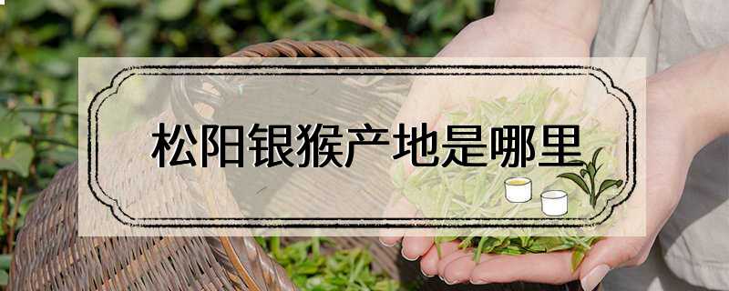 松阳银猴产地是哪里