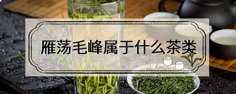 雁荡毛峰属于什么茶类