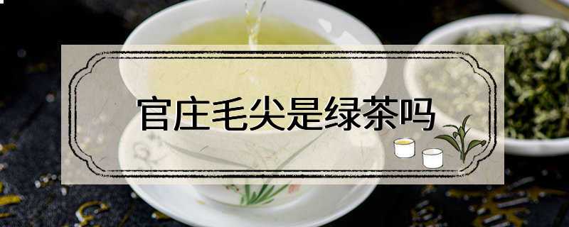 官庄毛尖是绿茶吗
