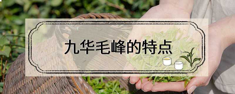 九华毛峰的特点