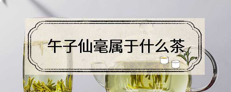 午子仙毫属于什么茶