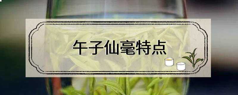 午子仙毫特点