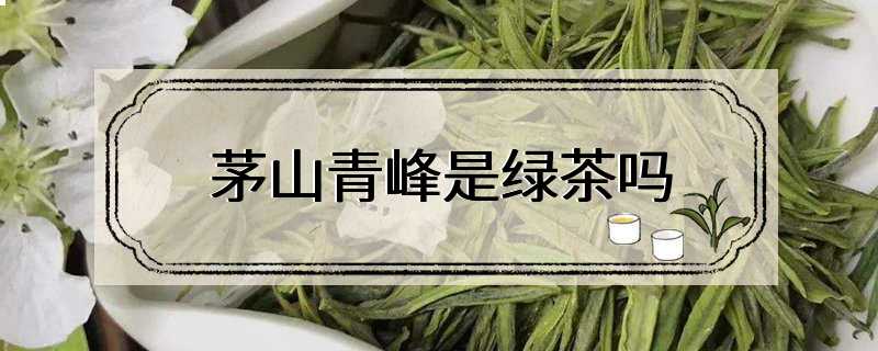 茅山青峰是绿茶吗