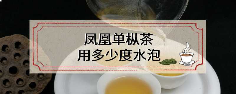 凤凰单枞茶用多少度水泡
