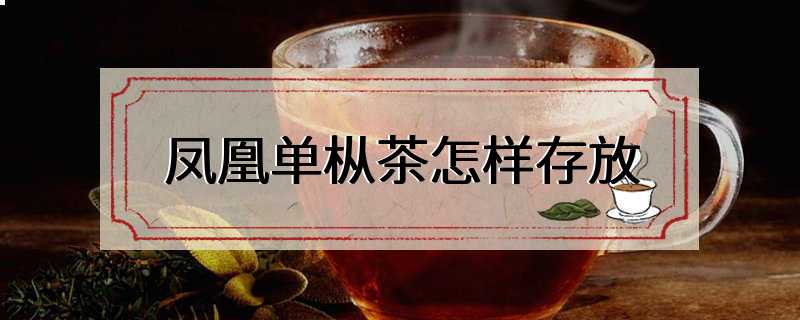 凤凰单枞茶怎样存放
