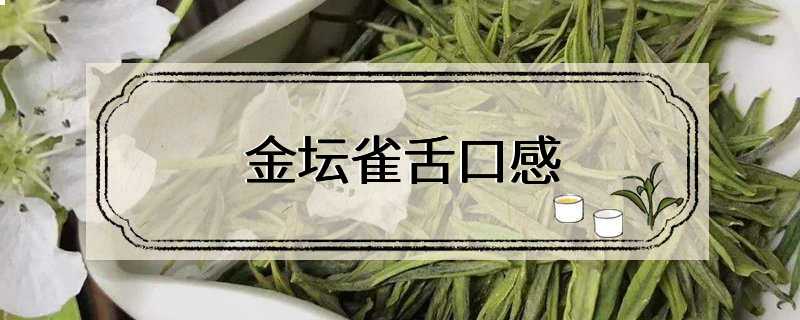 金坛雀舌口感