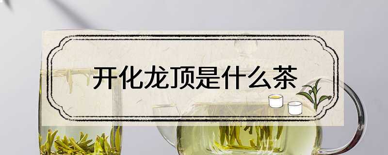 开化龙顶是什么茶