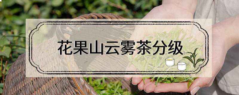 花果山云雾茶分级