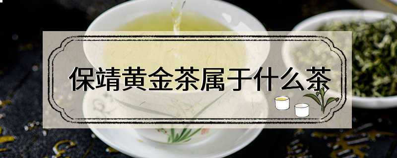 保靖黄金茶属于什么茶