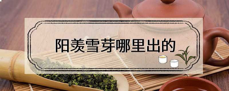 阳羡雪芽哪里出的