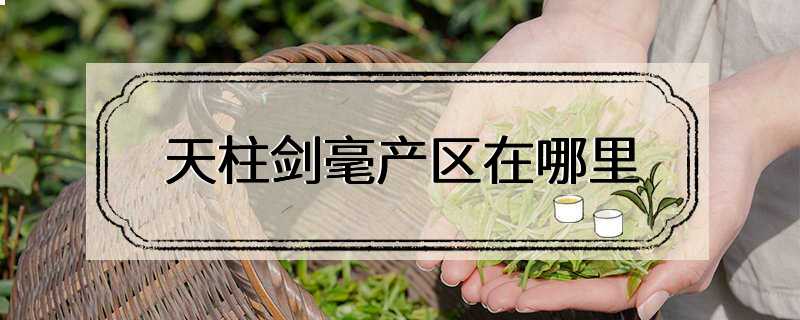 天柱剑毫产区在哪里