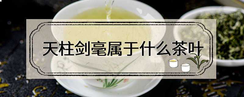 天柱剑毫属于什么茶叶