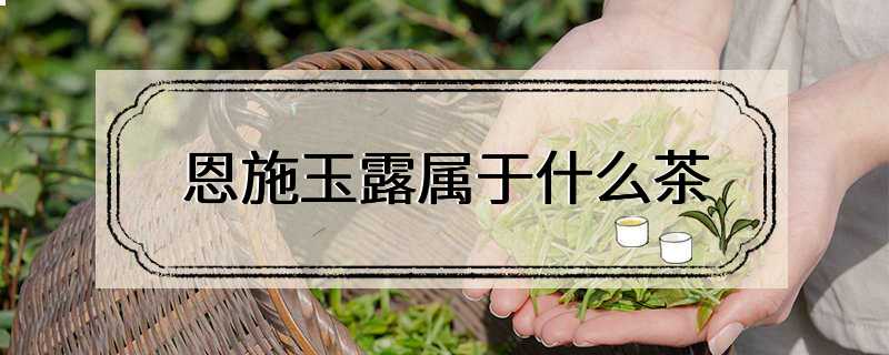 恩施玉露属于什么茶