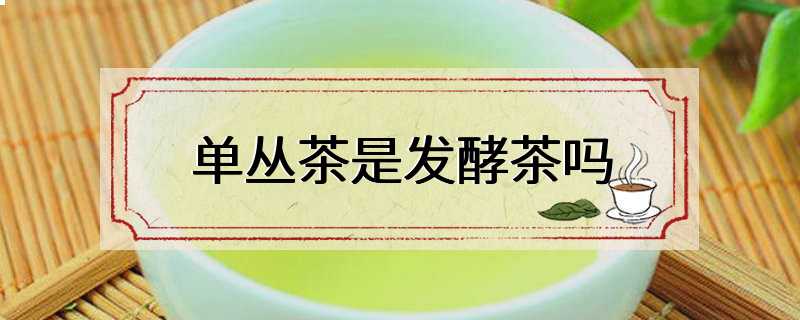 单丛茶是发酵茶吗