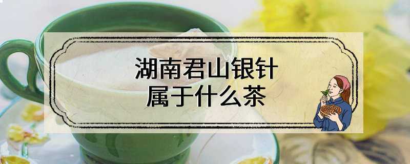 湖南君山银针属于什么茶