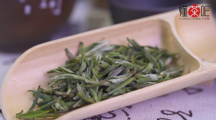 君山银针要放冰箱吗