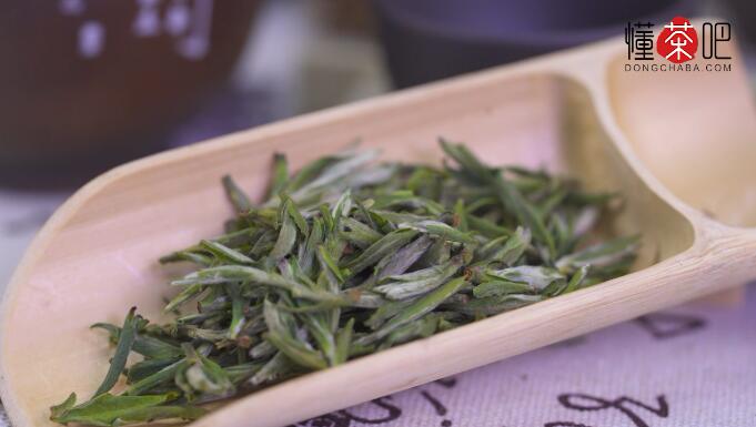 泡君山银针需要洗茶吗