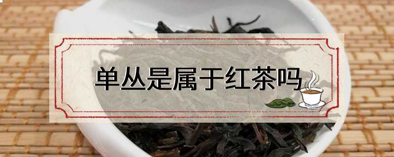 单丛是属于红茶吗