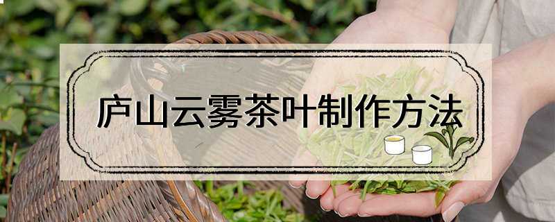 庐山云雾茶叶制作方法