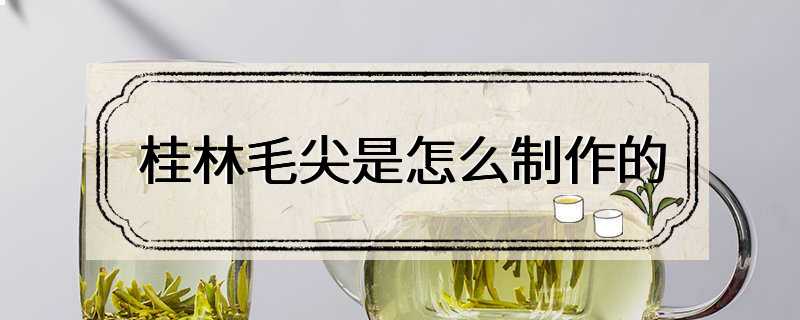 桂林毛尖是怎么制作的